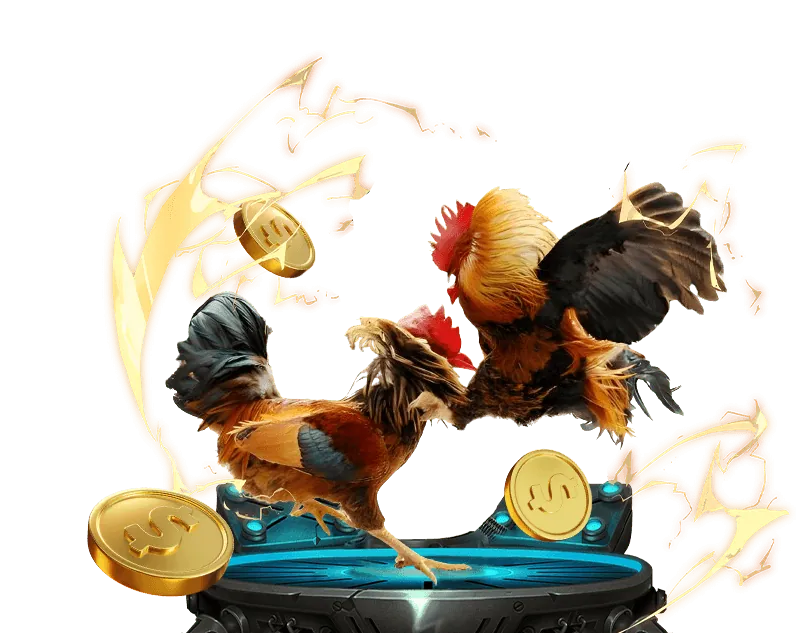 Cá cược thể thao dt68 với nhiều môn